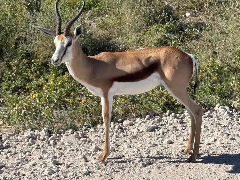 Reisebericht-2023-Namibia-001