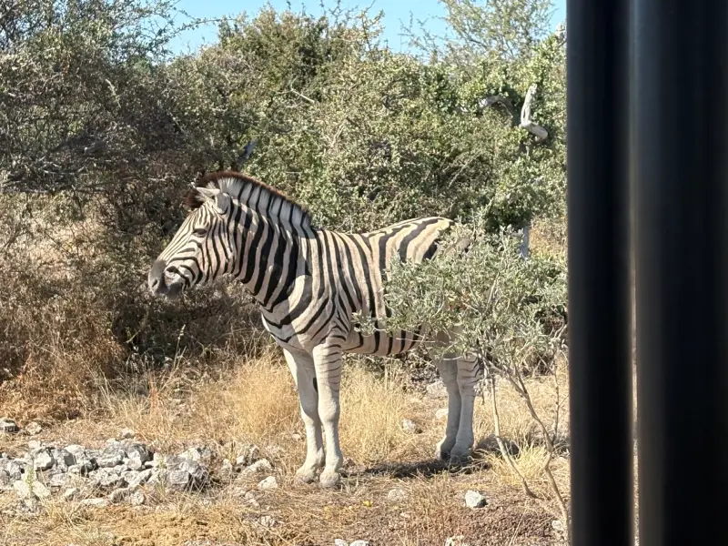 Reisebericht-2023-Namibia-003