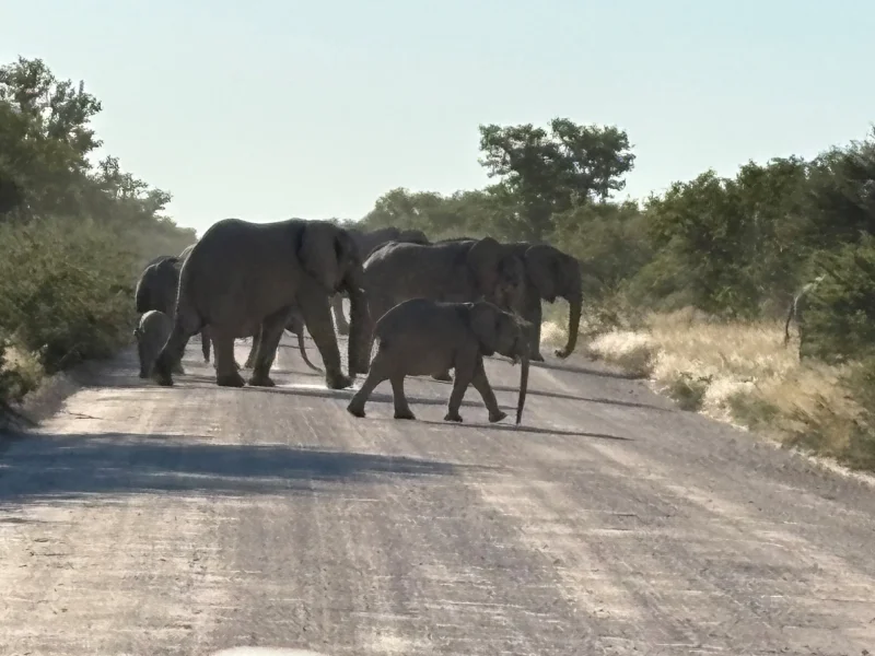 Reisebericht-2023-Namibia-004