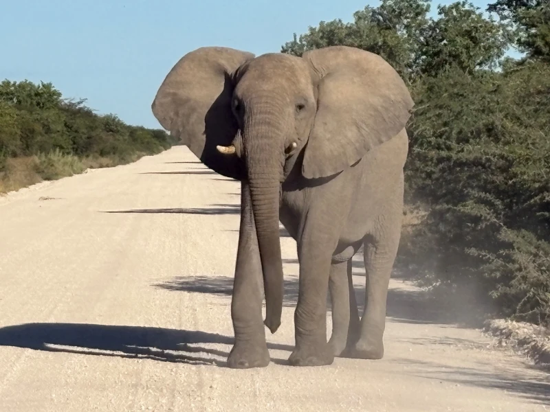 Reisebericht-2023-Namibia-005