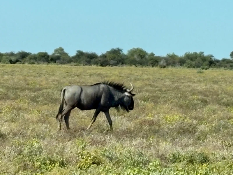Reisebericht-2023-Namibia-007