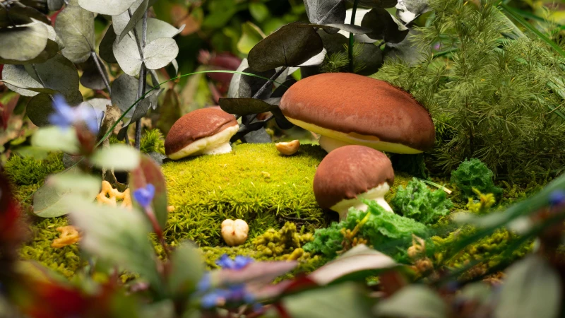 restaurant_lazy_laurich_kochsternstunden_nachspeise_2_2026