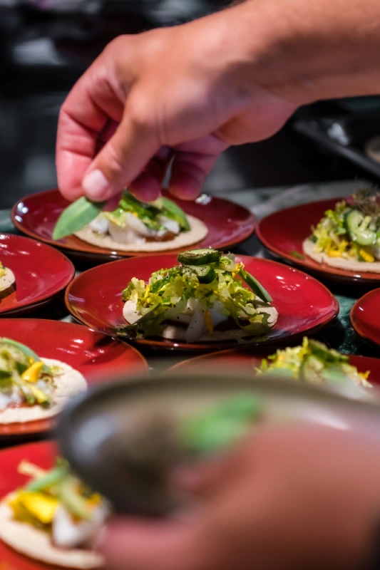 PopUp-Koch-Event_07.2024_91-1